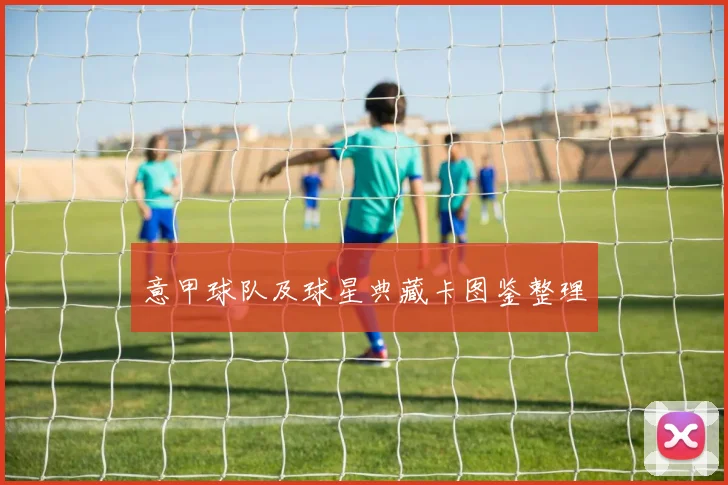 意甲球队及球星典藏卡图鉴整理