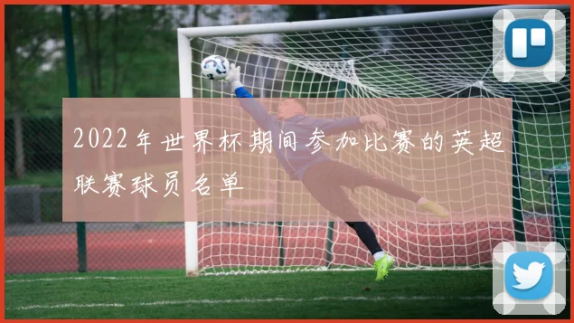 2022年世界杯期间参加比赛的英超联赛球员名单