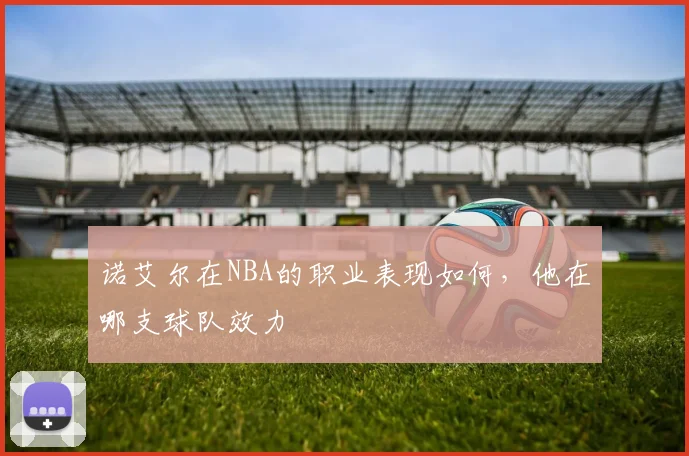 诺艾尔在NBA的职业表现如何，他在哪支球队效力