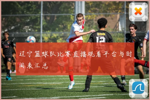 辽宁篮球队比赛直播观看平台与时间表汇总