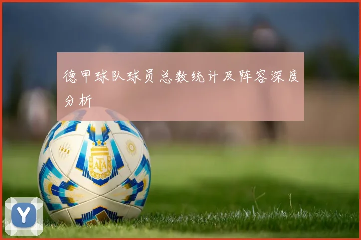德甲球队球员总数统计及阵容深度分析