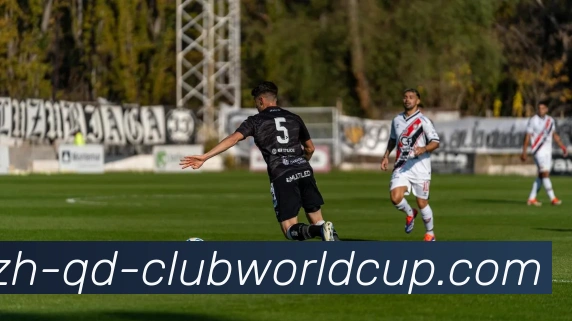 世界杯官网平台生态图