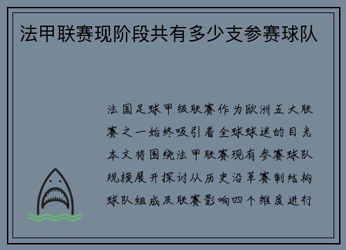 法甲联赛现阶段共有多少支参赛球队